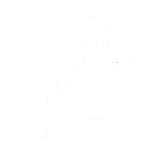 Adventure Concepts