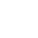 Virtue Homes